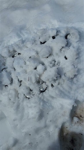 Snow Beer New Career