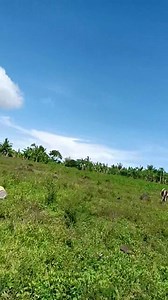 Daghana kuha guys ui 🤣 #foryoupageシforyou #highlighteveryone | Mishel Bazan Dragun