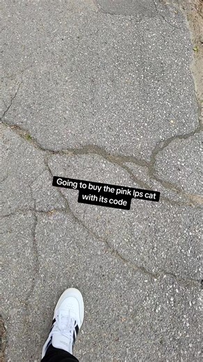 Unboxing the Pink Little Pet Shop Cat