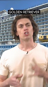 107K views · 2K reactions | #AD how dog breeds vacation with @Royal Caribbean #ovationoftheseas #dogbreeds #dogsoftiktok #dogbreedsoftiktok #fypシ゚viral #fypシ゚ #fyp #fyppage #fypシ゚viralシ #usa #mexico #australia #uk #canada | Jonny | Facebook