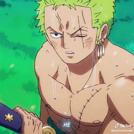 Unforgettable Zoro Moments in One Piece
