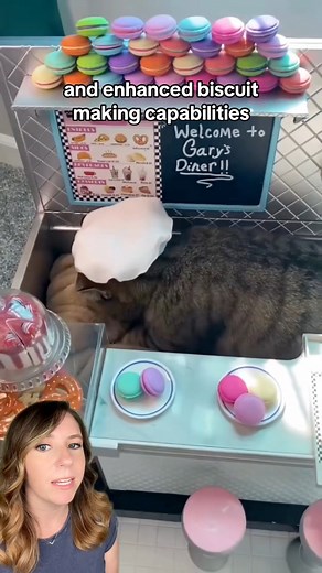 156K views · 13K reactions | Chef Gary the cat continues to stand out...