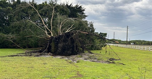 'You could feel the roof shaking': Wellington resident recounts hailstorm destruction