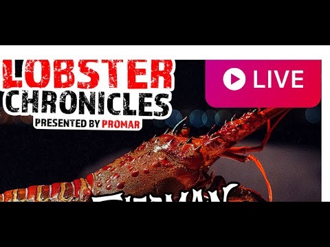 LIVE: Lobster Hoop Netting Mastery! Rigging + Tips w/ Rene De Leon