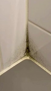 la méthode infaillible d’éliminer la moisissure, le calcaire et le savon des carreaux de salle de bain | Astuces de Grand Mère