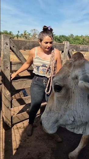 Farm Life Adventure | Working with Cattle on a Rural Ranch 🐄🌾 #villagelife #rurallife #cow #farming