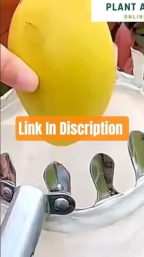 Choosing the Best Fruit Picker: Expert Tips & Tools #FruitPicking