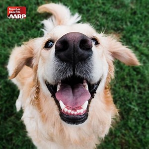 44K views · 561 reactions | Get a personalized health report for your...