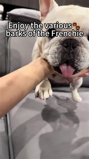 Exploring Puppy Barks: Discovering Their Unique Sounds