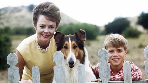 The 'Lassie' Cast, Then and Now | Woman's World