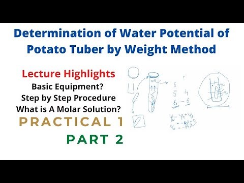 Determination of Water Potential of Potato Tuber by Weight Method | Part 2 | Bot 701 | Botany
