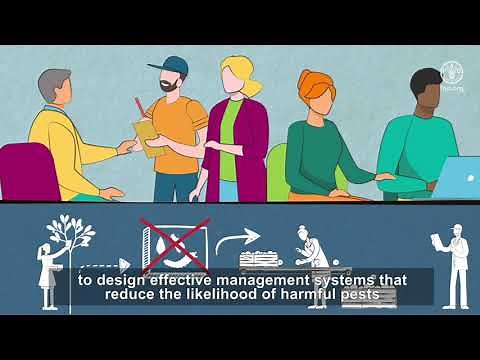 Understanding systems approach