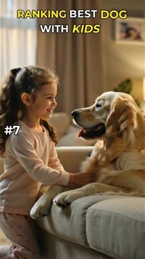 Ranked - Cutest Baby and Dog Friendships Ever! 😍🐾