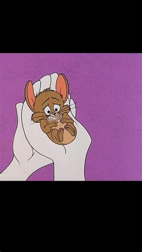 Tom & Jerry: The House Disaster Cartoon Compilation