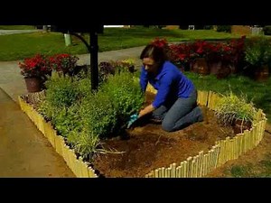 Plant This Mailbox Garden with Reblooming Encore Azaleas and Companion Plants