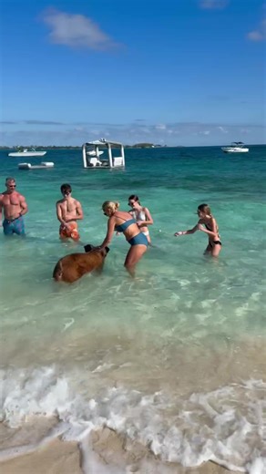 Welcome to J.Co Charter, your premier boat charter company located in Nassau, Bahamas. We specialize in providing private boat tours with luxury amenities, ensuring an unforgettable experience in the stunning waters of the Bahamas. #familyday #jcocharters #boatday #bahamastiktok🇧🇸 #IslandTime