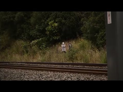 ⚠️ 10 DISTURBING ENCOUNTERS! WHAT THE CAMERAS CAUGHT AND NO ONE CAN EXPLAIN.