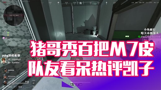 【PIGFF】猪哥秀百把M7皮 队友看呆热评凯子