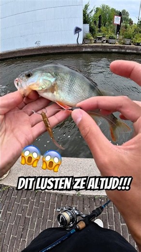 BAARS KAN HIER NIET VANAF BLIJVEN!!?