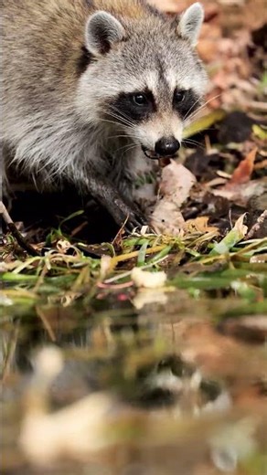 Watch What He Does With His Little Hands…