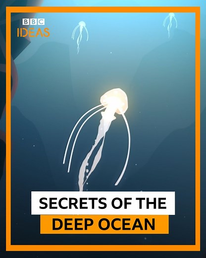 Why do we know so little about the ocean? | BBC One