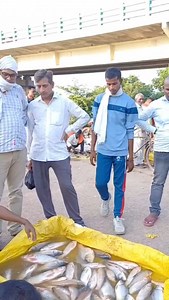 99K views · 1.2K reactions | Prank video   | Sanoj PK | Facebook