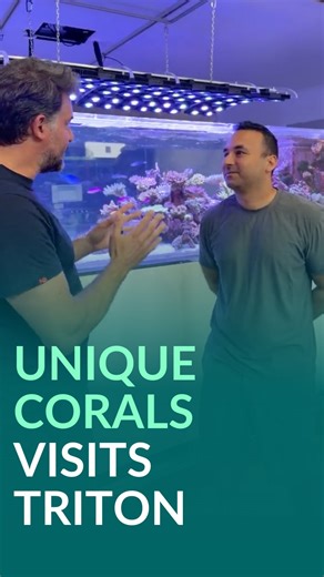 TRITON Applied Reef Bioscience | 🪸🐠 This clip is from our visit with Joe and Toni from Unique Corals here at the TRITON headquarters in Cairns, Australia. Together we took... | Instagram