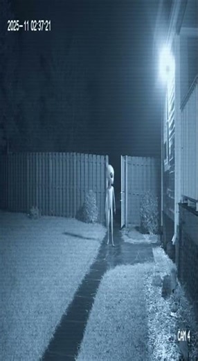 You Won’t Believe What My CCTV Recorded Last Night 👽⚡ #alien #alienlife