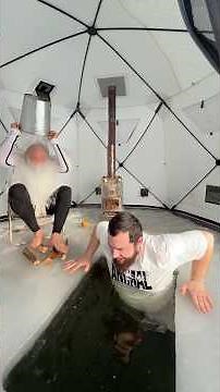 1 февраля 2026 г.