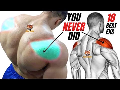 18 best REAR DELTOID exercises that you never did at gym
