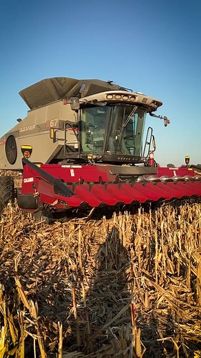 No matter the combine, or row spacing - a Calmer Built head harvests clean and lasts for decades. #corn #cornhead #calmerbuilt #cornheader #gleanercombines