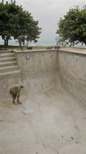 Pool Restoration 🤯 (Wait for the Night Reveal!)#transformation #oddlysatisfying #satisfying #diy