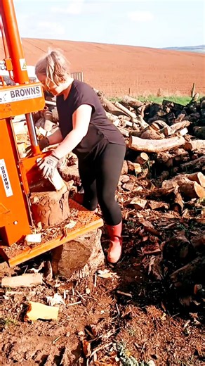 Vertical Log Splitter #logsplitter #firewood #woodworker
