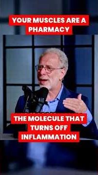 Why Muscles are The Body's Best Defense System #shorts #health #podcast #healthafter40