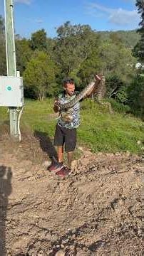 Very healthy sized Coastal Carpet Python didn’t like me touching him