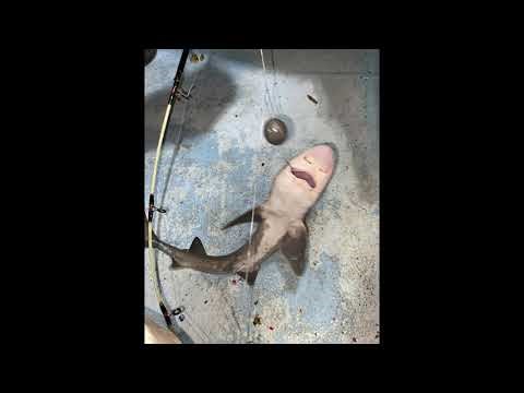 Çığlıklarla Dans (Demo)