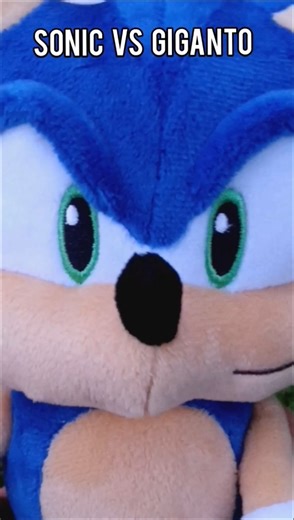 Sonic needs a vacation... #new #sonicthehedgehog #plush #sonic