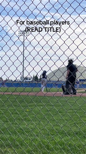 Essential Baseball Bat Reviews for Players