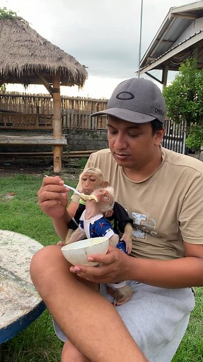 Morning routines with beloved pet #babymonkey #animals #morningroutine | Baby Monkey Mone