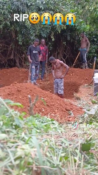 Understanding Rip and Ship: A Complete Guide