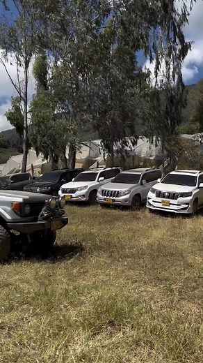 Cuentas recomendadas