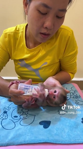 Caring for Newborn Mice: Feeding Tips and Techniques