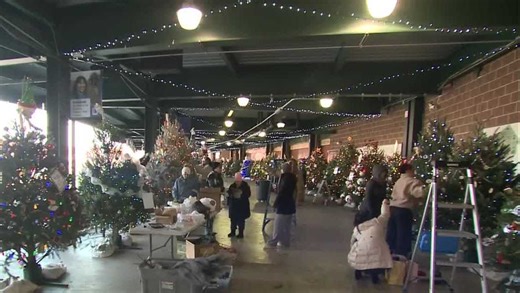 Christmas Tree Lane has opened at Penn Medicine Park in Lancaster, offering festive displays
