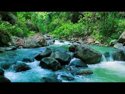 River Flow Over Pebbles – Calming Water ASMR for Sleep and Stress Relief, Insomnia, Relax, Anxiety