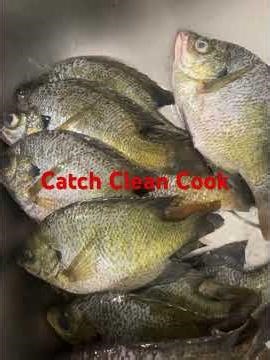 HOW TO CATCH CLEAN AND COOK TUTORIAL NO MESS!!! HOW TO VIDEO