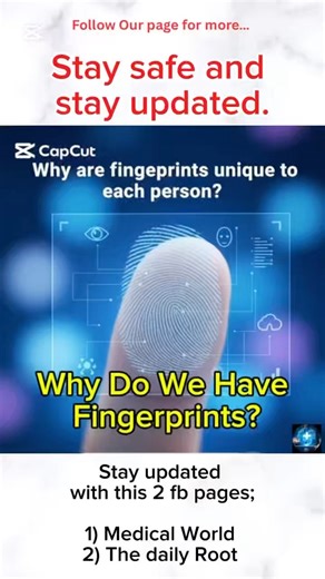 Why Do We Have Fingerprints? #healthtips #facts #staysafe #helthbenefits #shorts #short #shortvideo
