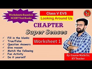 Chapter 1 Super Senses Worksheet | NCERT Class 5 EVS | By KV Teacher | School Guide
