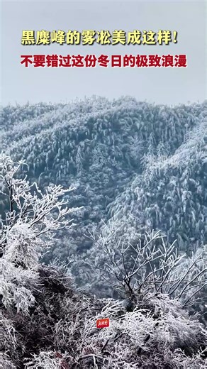 黑麋峰的霧凇美成這樣！不要錯過這份冬日的極致浪漫 The rime on Heimi Peak is breathtakingly beautiful! Don’t miss this ultimate winter romance. #hunan #changsha