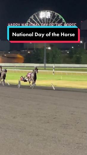 Celebrate National Day of the Horse with Harness Racing and Standardbreds