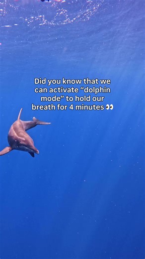 Unlock Your Mammalian Dive Reflex Superpower!
